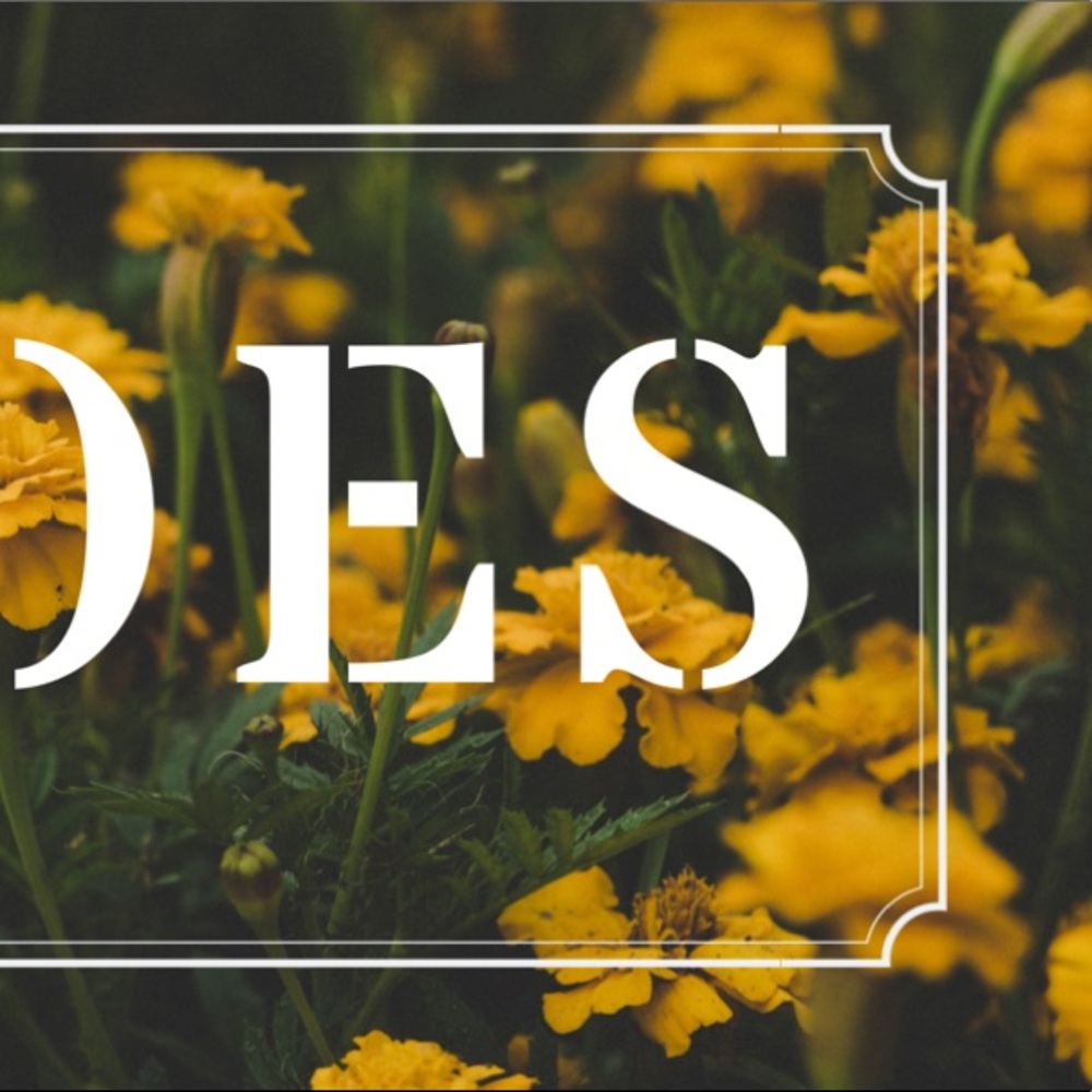 SHOES !! 🥿👠👡👢👞👟🥾⛸